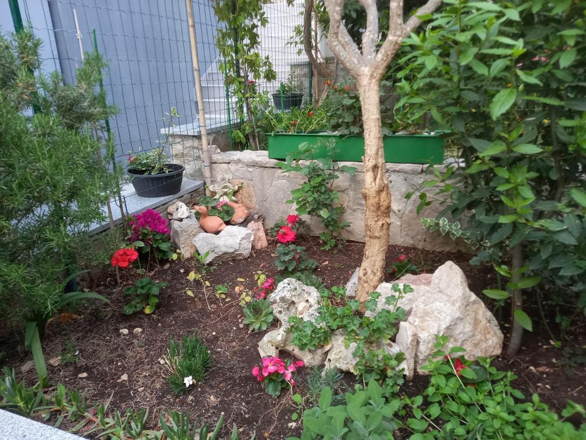 Apartmani Vesna Milisa 프리모스턴 외부 사진